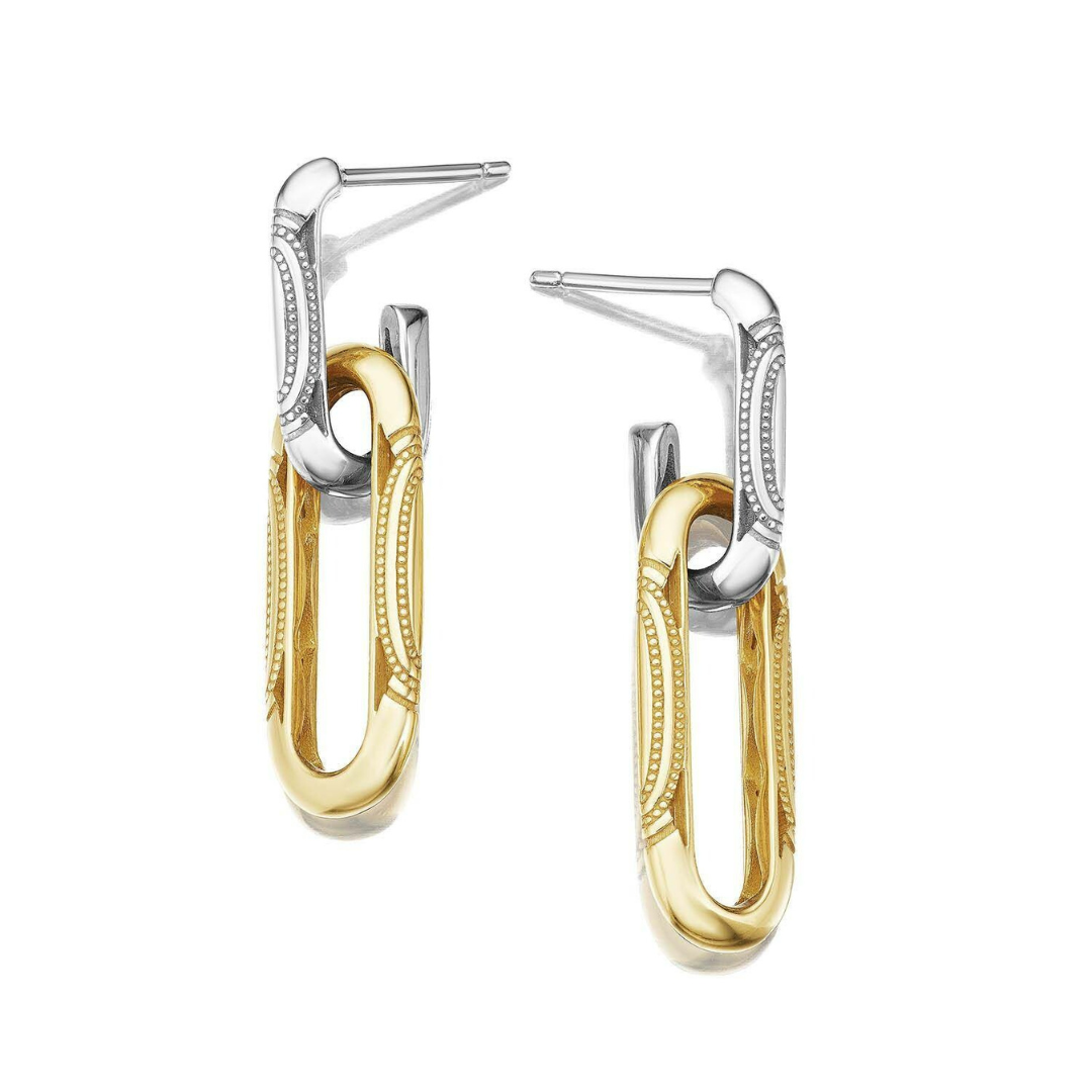 Crescent Eclipse Double Link Earrings (941822)